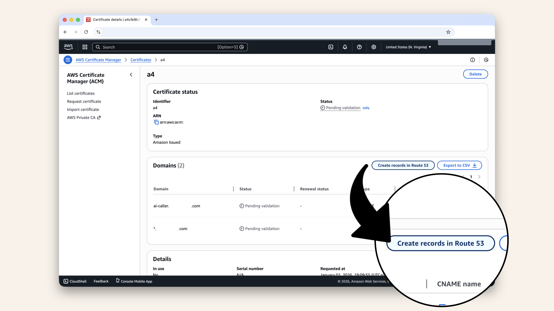 Click Create records in Route 53