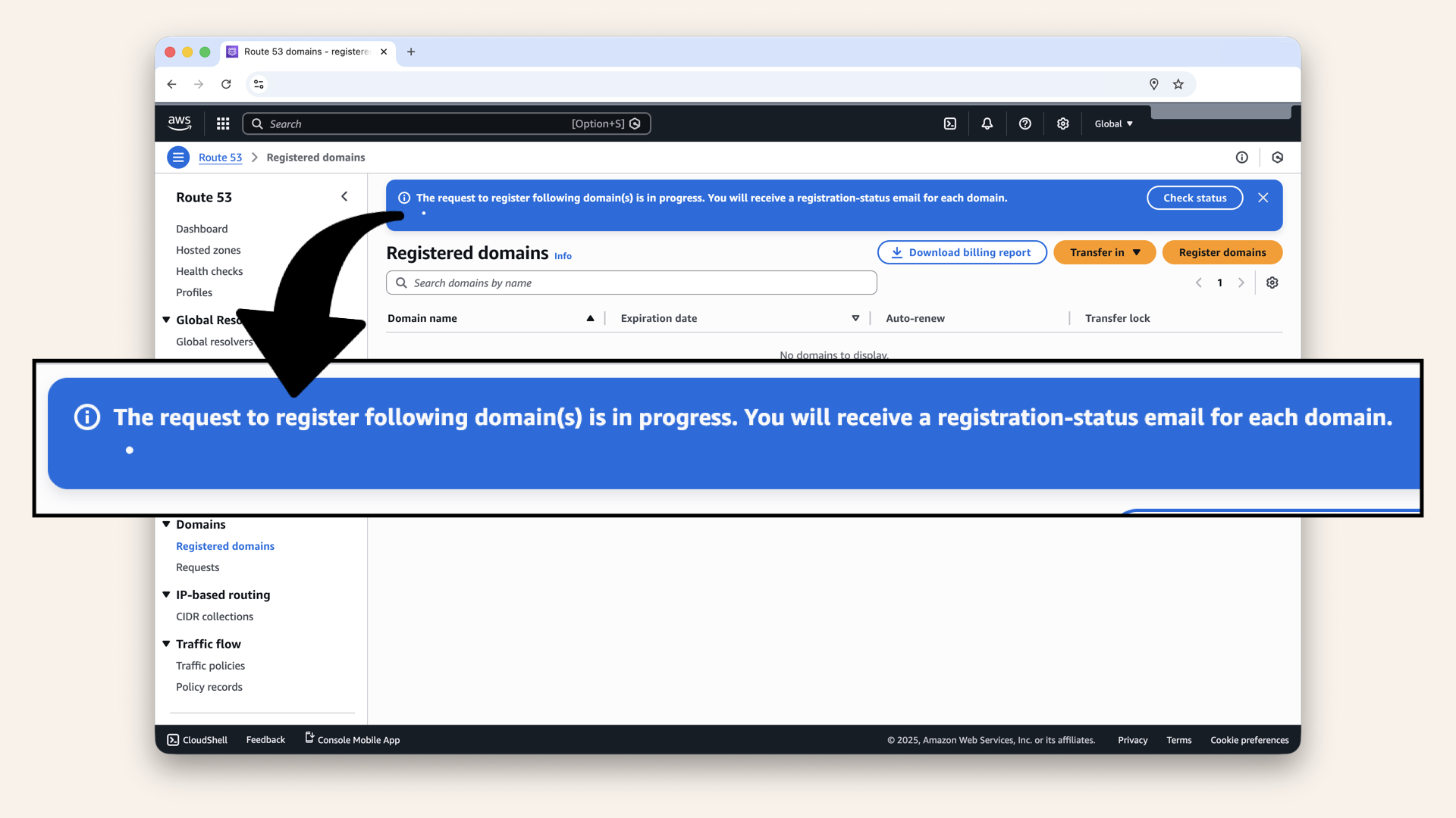 You should see: Your domain registration is being processed