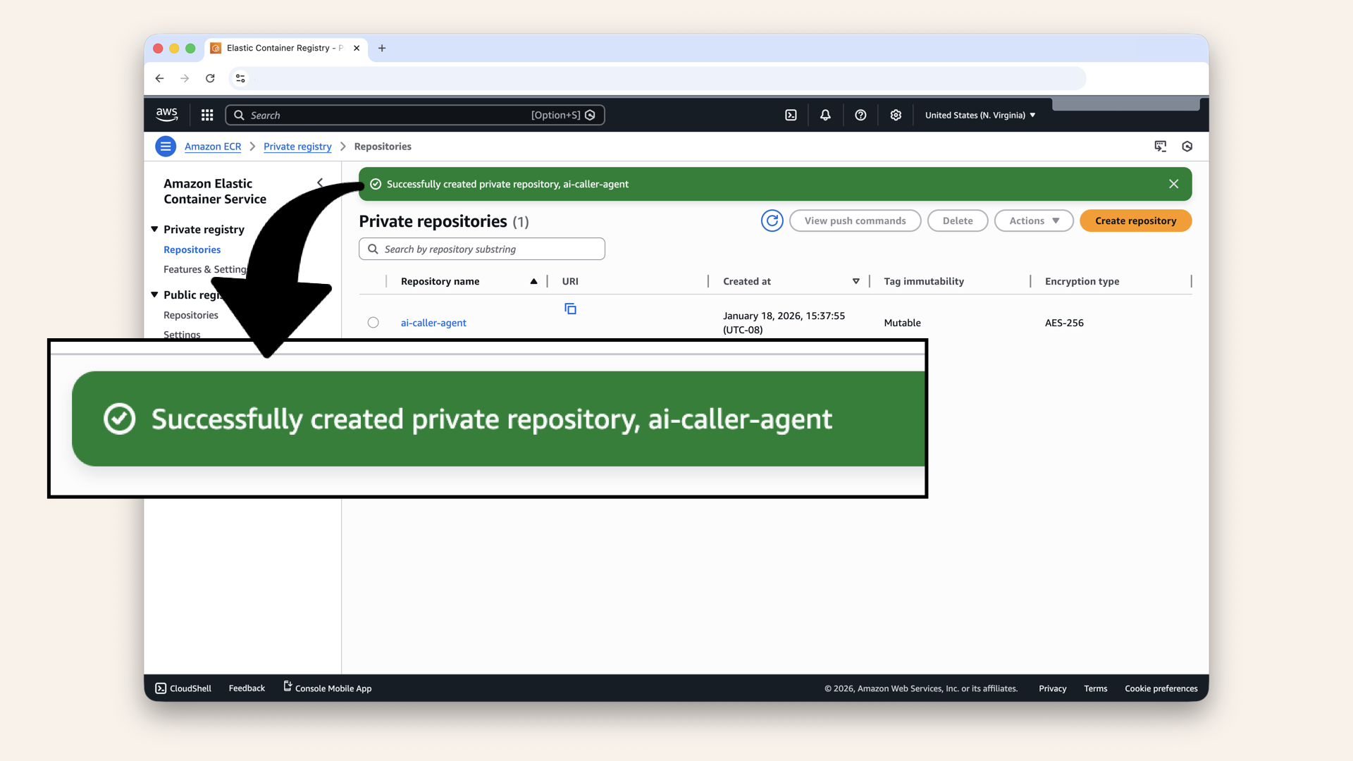 You should see Successfully created repository