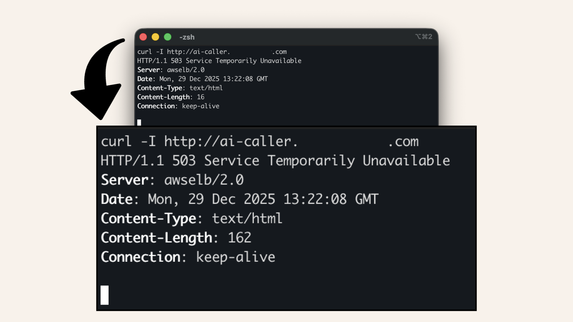 Expected curl output