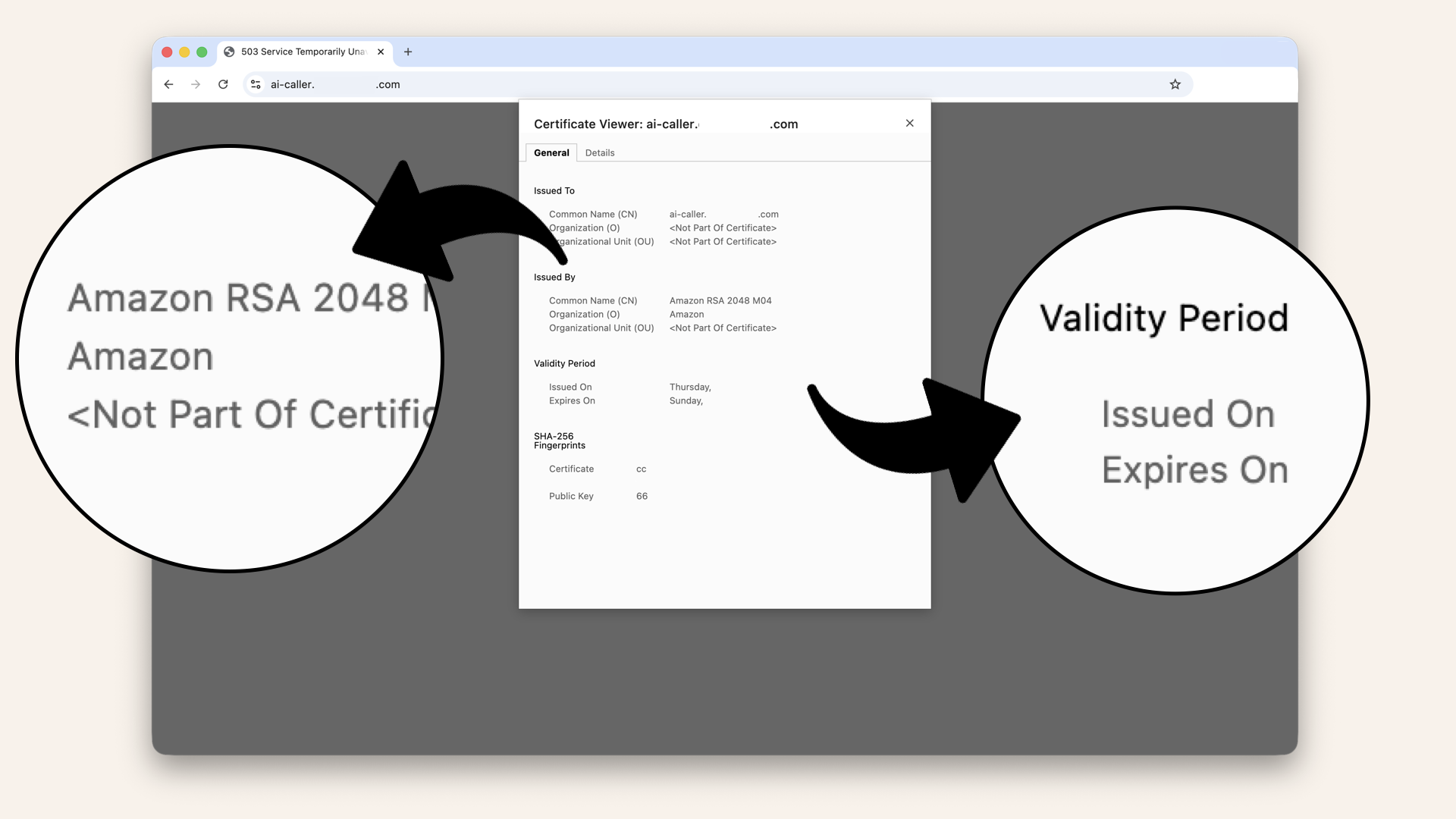 You should now see certificate details