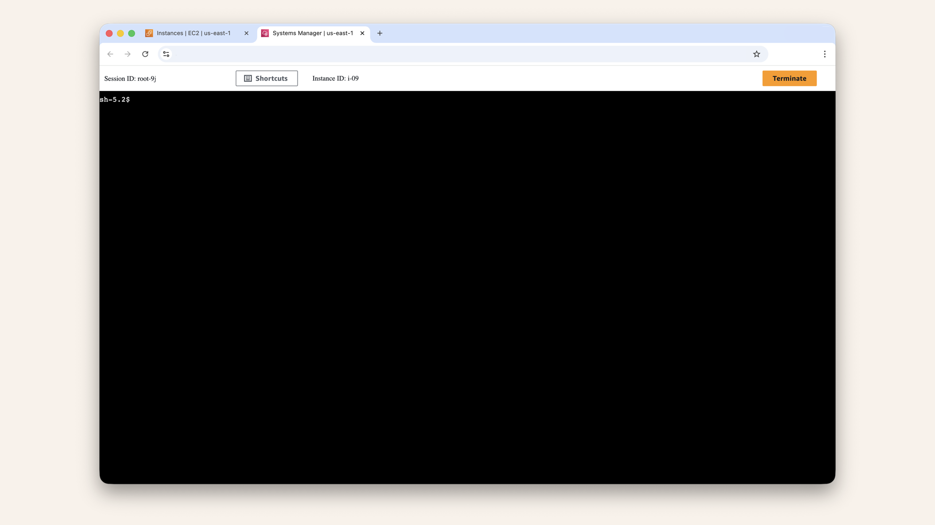 This opens a terminal in your browser This opens a terminal in your browser