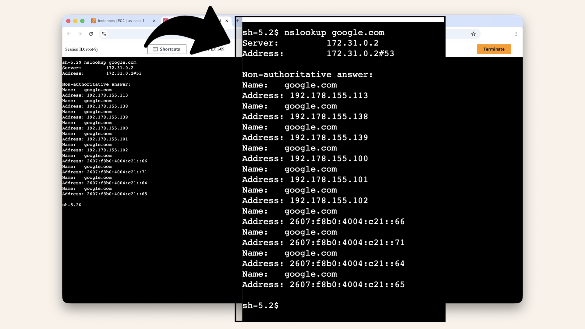 Expected output Expected output