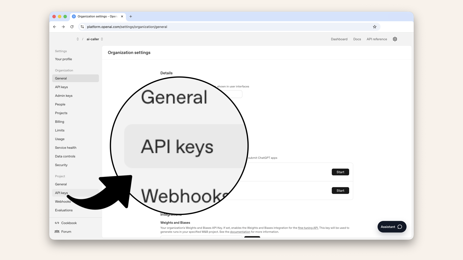 Click API keys in the left sidebar