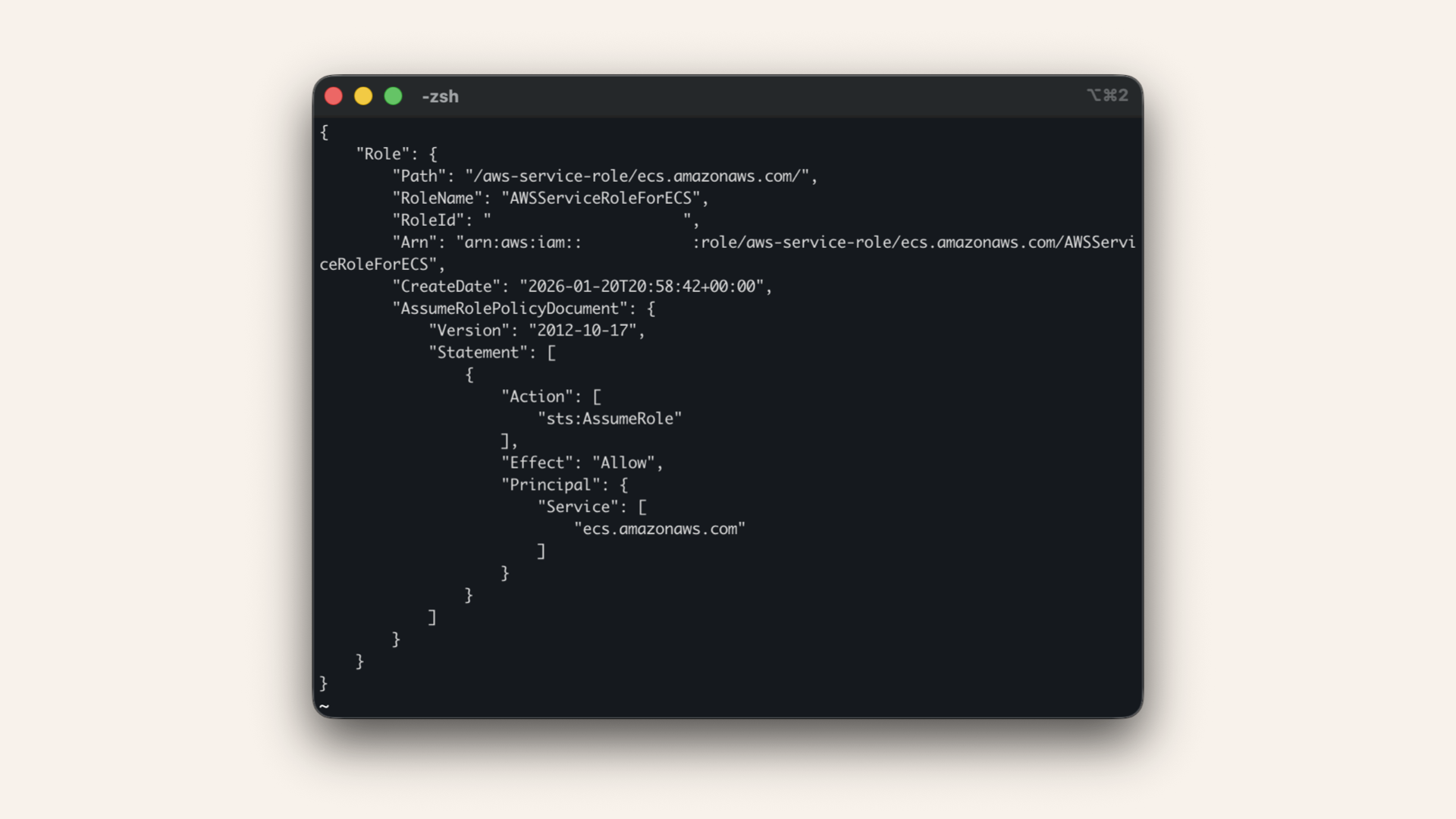 You should see the created role in the response