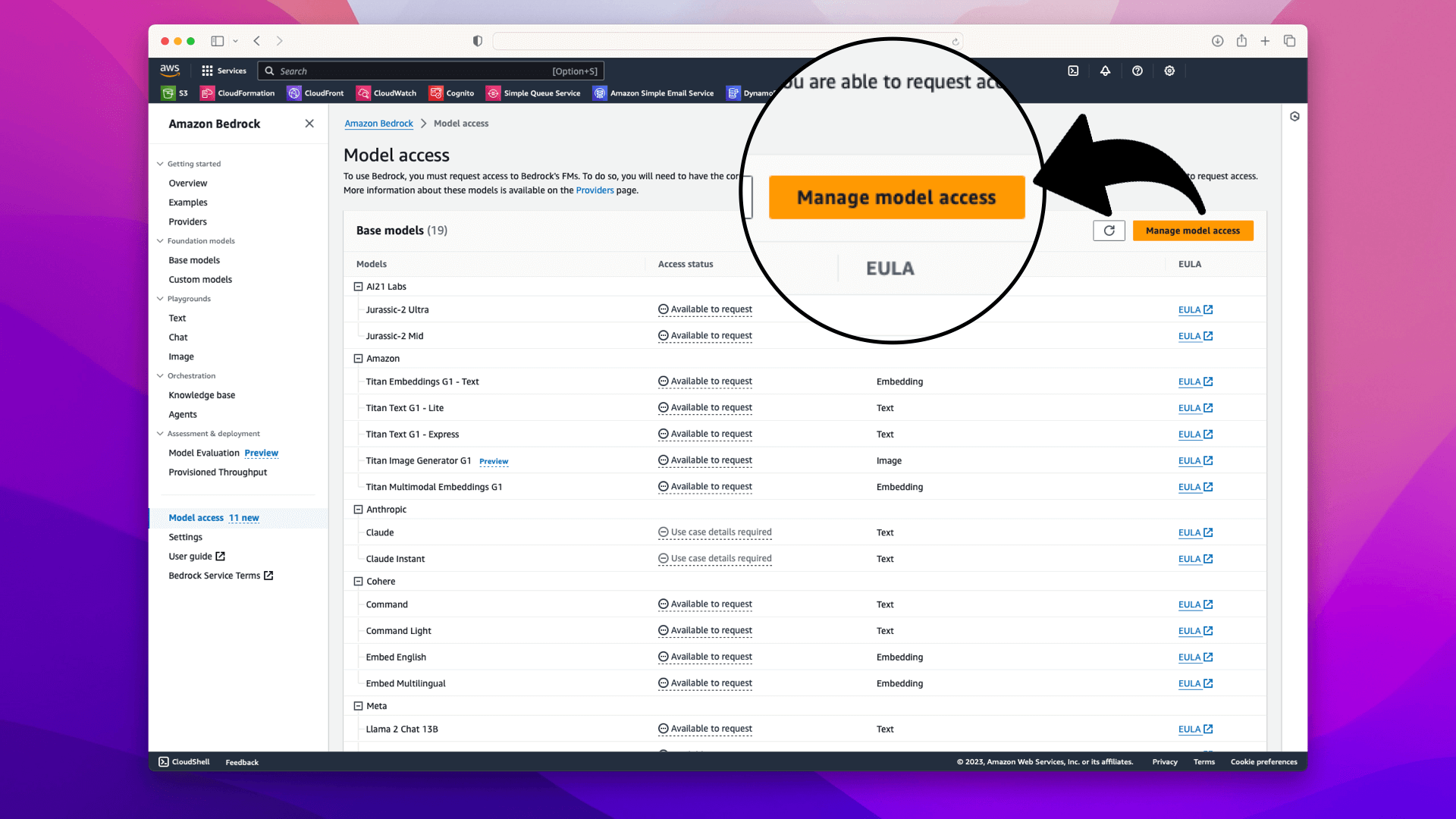 Manage model access