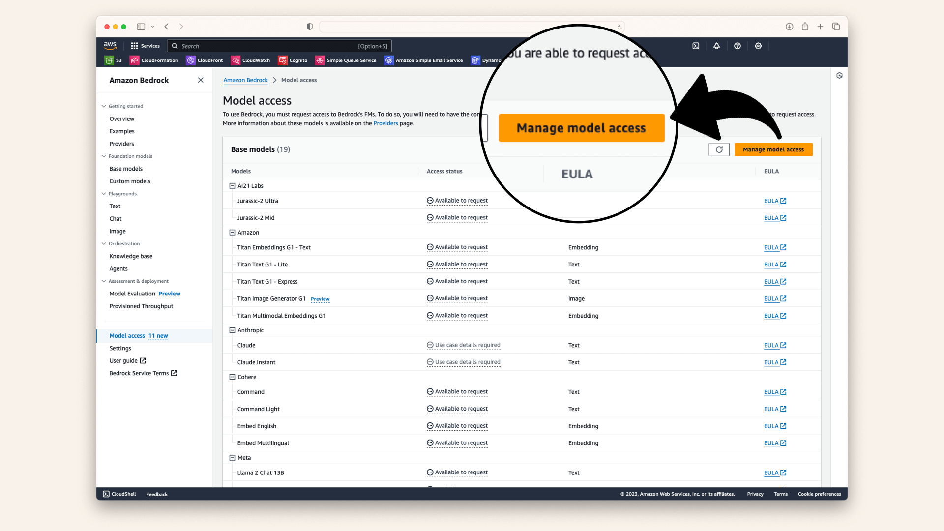 Manage model access